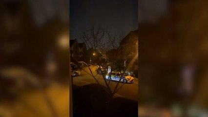 Video Captures Police On Scene In Rotherhithe During Incident That Left One Man Shot Dead