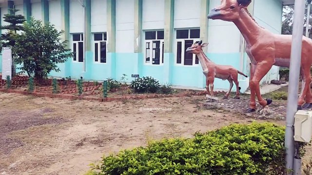 Himachal travel places | fossil park suketi | shiwalik fossil park