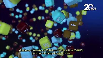 ¿Cómo funciona el colecalciferol o vitamina D3?