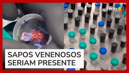 Polícia Colombiana apreende 130 sapos venenosos transportados por brasileira