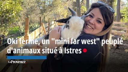 Oki ferme, un "mini far west" peuplé d'animaux situé à Istres