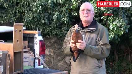 Amasya'da Yabani Kuşları İnternet Üzerinden Satmaya Çalışan Şüpheli Yakalandı