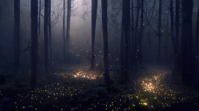 Enchanted - Soothing Meditative Ambient Music - Relaxing Fantasy Ambient