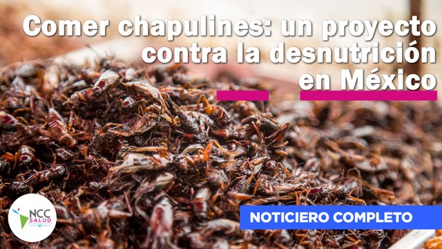 Comer chapulines: un proyecto contra la desnutrición en México | 182 | 29 enero - 04 febrero 2024