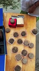 Mid-Autumn Festival  Very Funny dance 