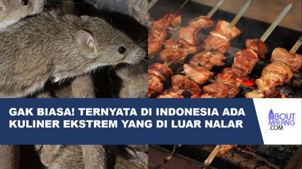 5 MAKANAN EKSTREM YANG TERNYATA ADA DI INDONESIA! BERANI COBA?