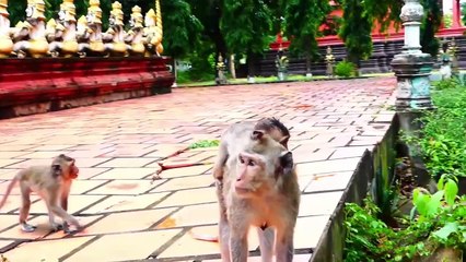 Ramos Baby Cry Nearly Heartbreaking, Rany Walks Away And Left Baby Ramos Lonely (720p_25fps_H264-192kbit_AAC)