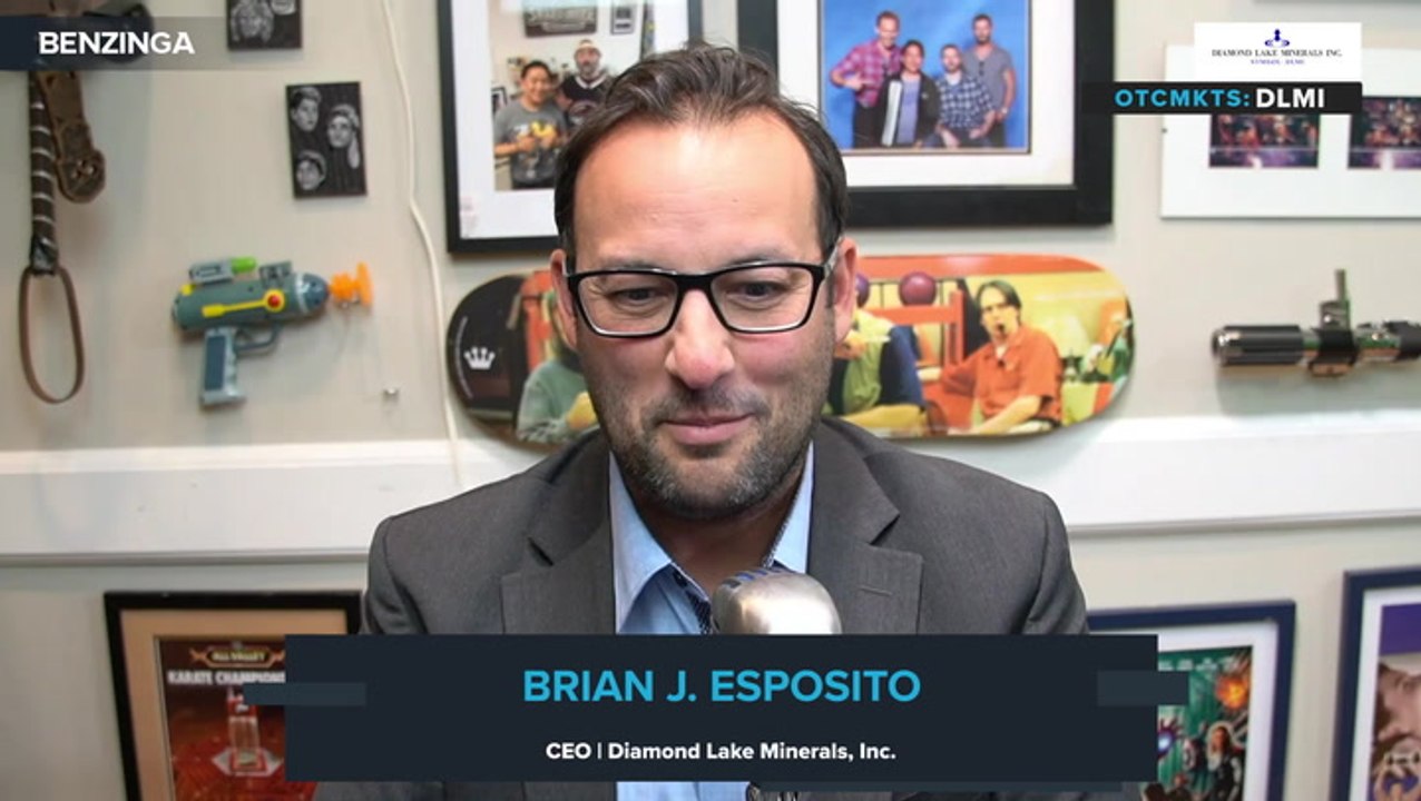 $DLMI Diamond Lake Minerals Inc CEO, Brian J. Esposito On Digital Assets And Tokenization In 2024