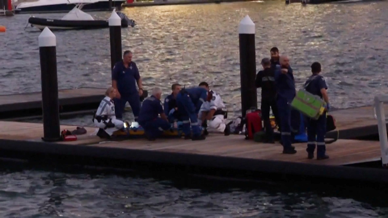 Australie : une femme attaquée par un requin bouledogue dans le port de Sydney