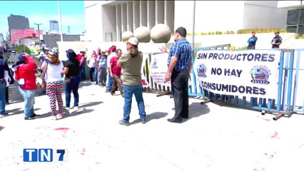 tn7-agricultores-protestan-en-congreso-contra-proyecto-que-reforma-ferias-300124
