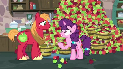 My Little Pony - Sezon 7 Odcinek 08 - Nie potrzeba słów