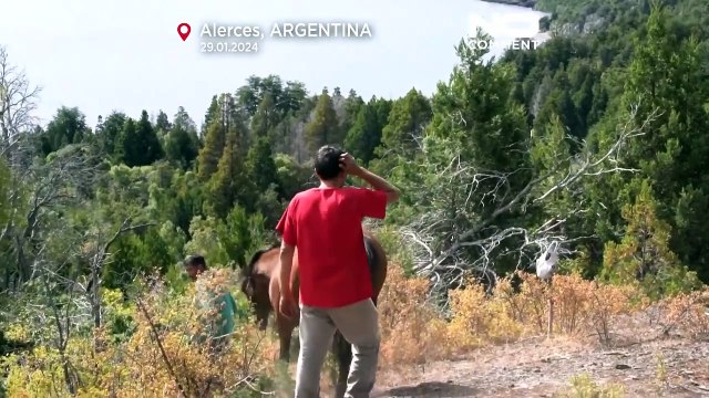 شاهد: حريق يلتهم مساحات شاسعة من موقع مدرج على لائحة اليونسكو للتراث العالمي بالأرجنتين