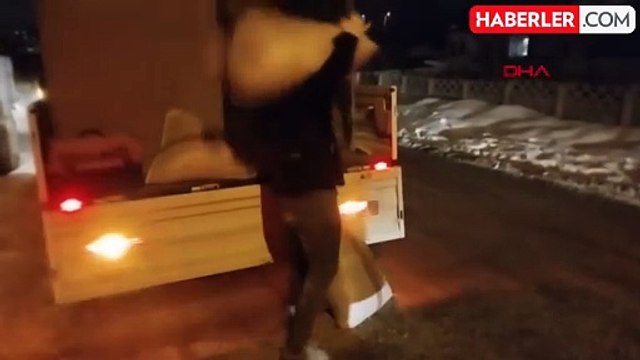 Bolu'da Yılkı Atları Şehir Merkezine İndi