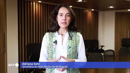 Colômbia apreende rãs venenosas transportadas por brasileira