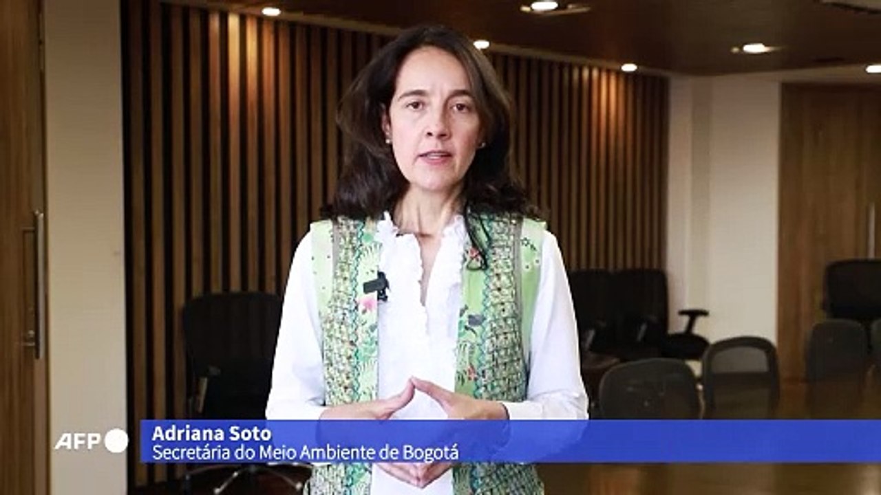Colômbia apreende rãs venenosas transportadas por brasileira