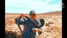 شاهد كيف يتم ترويض الافاعي في المغرب مع العساوي برهيم