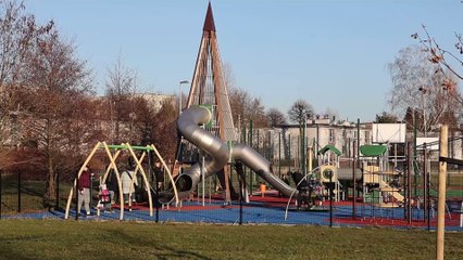 Święto Kaliny w Świętochłowicach – Tradycyjna Uroczystość i Wydarzenia