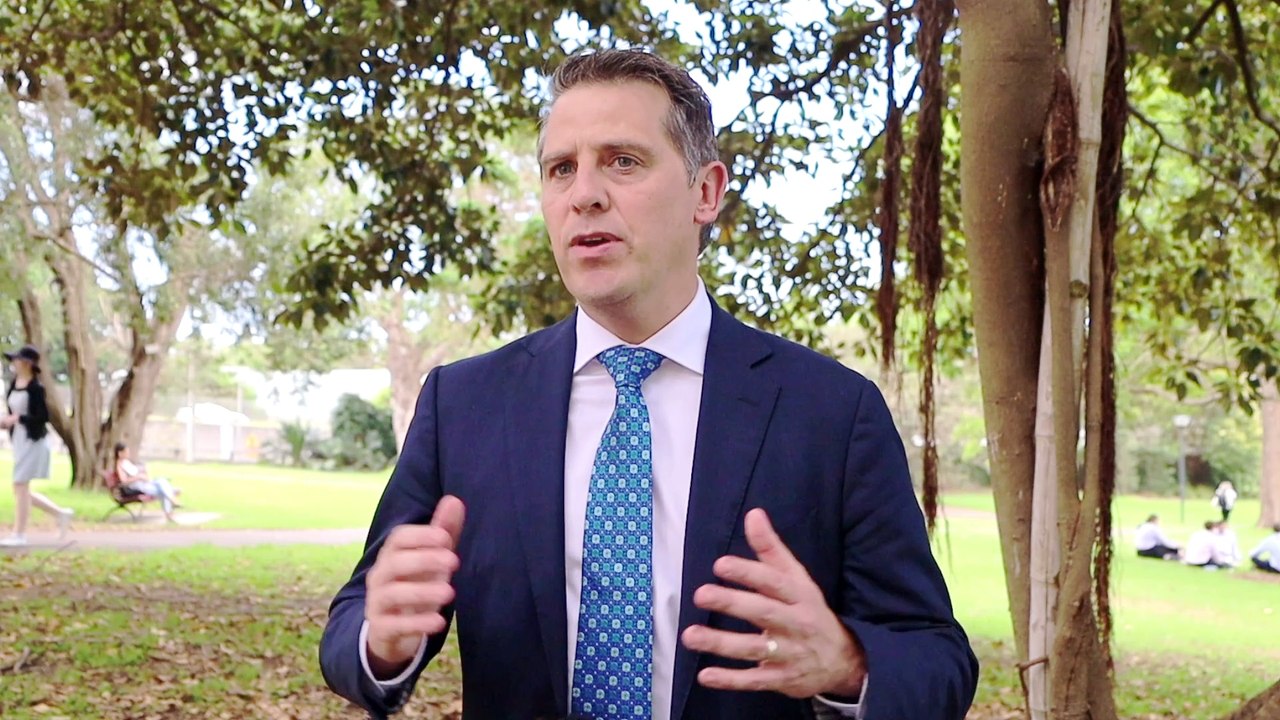 100 nurses from the UK and Ireland to arrive in Hunter New England - Minister for Regional Health Ryan Park. Video supplied