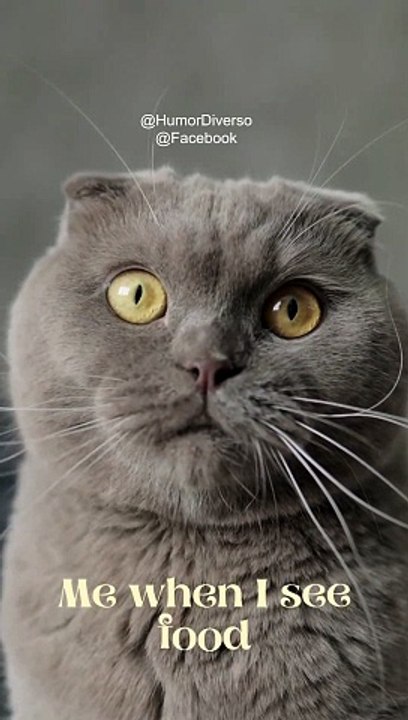 Me when I see food.