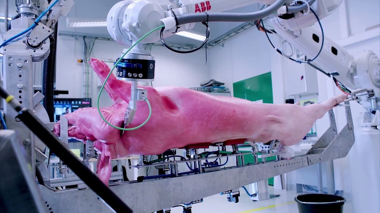 Wir und das Tier - Ein Schlachthausmelodram | movie | 2023 | Official Trailer