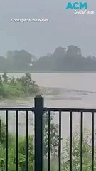 Video herunterladen: Kangaroo swims across floodwaters in Queensland