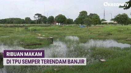 Download Video: Ribuan Makam di TPU Semper Cilincing Terendam Banjir, Begini Penampakkannya