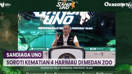 4 Harimau Mati, Ini Langkah Sandiaga Uno Selamatkan Medan Zoo
