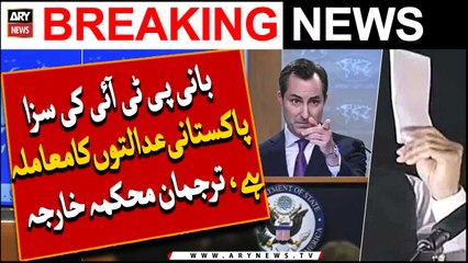 Punishment of PTI founder is a matter for Pakistani courts, Foreign Spokesman