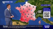 Du soleil sur toute la France, avec des températures comprises entre 9°C et 18°C... La météo de ce mercredi 31 janvier