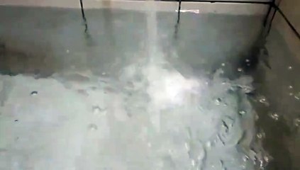 Water as the Source of Life