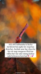 Har Cheez k liye ek Waqt Mukarrar ha ️