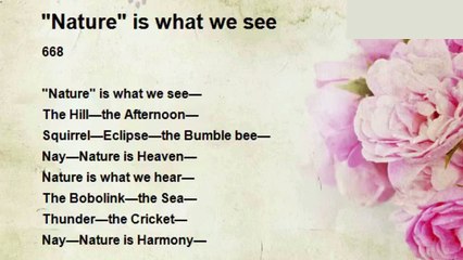 Emmanuel Katto Uganda | Nature Is What We See