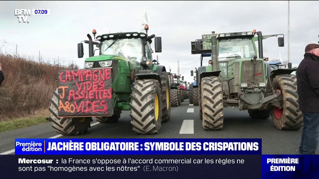 "On pourrait perdre 2.000 euros par hectares": les jachères obligatoires, imposées par l'Europe, devenues le symbole de crispations des agriculteurs