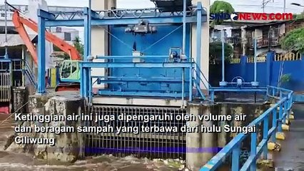 Ketinggian di Pintu Air Manggarai Meningkat, Warga di Bantaran Cilwung Diimbau Waspada