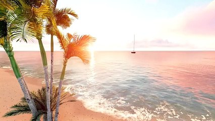 Flying over a beach with a palm tree and a boat