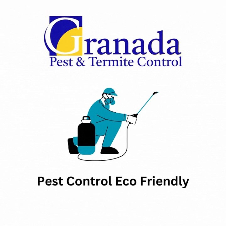 Granada Pest Control Local Pest Control Companies video Dailymotion