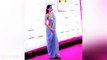 Nikki Tamboli Flaunts Her Huge Figure In Revealing Blouse _ Nikki Tamboli Ho_Full-HD
