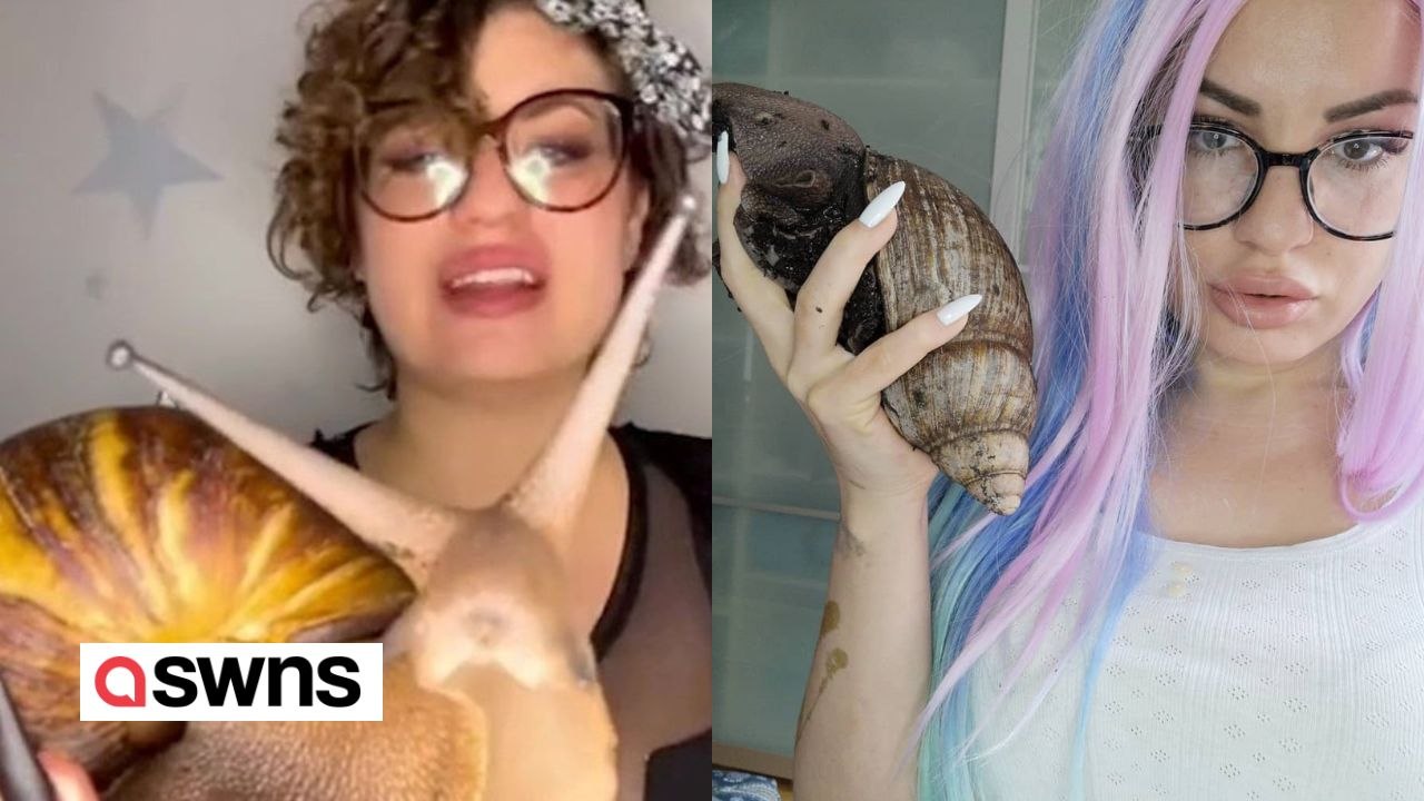Mutter verdient sechsstelligen Betrag mit Zucht von Riesenschnecken