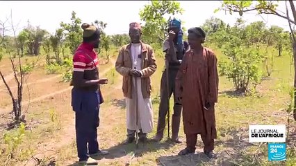 Centrafrique : la transhumance au cœur des tensions entre les éleveurs et les agriculteurs