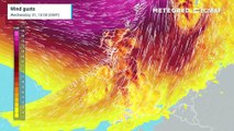 Modelled wind gusts associated with Storm Ingunn