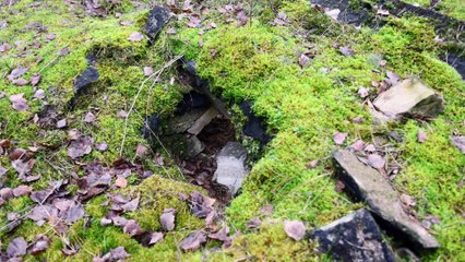 Gazeta Lubuska. Słońsk/Lenierzyce. Dawne magazyny amunicji