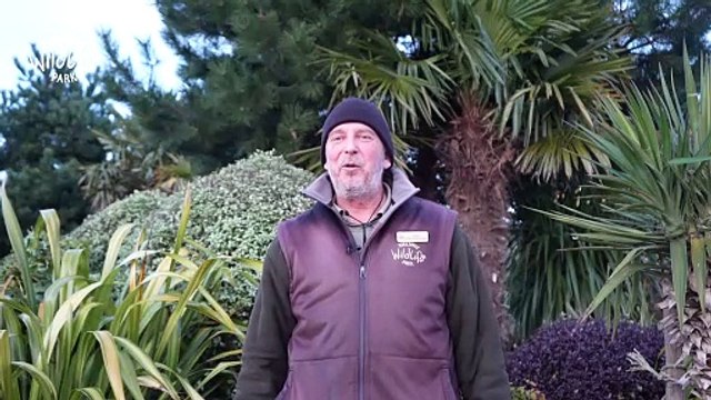 Yorkshire Wildlife Park's Animal Audit