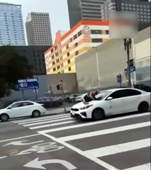 Mulher arrisca a vida para impedir assalto do próprio cachorro