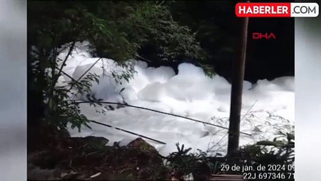 Brezilya'da Zehirli Kimyasal Madde Kazası: Dere Beyaz Köpükle Kaplandı