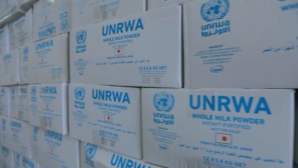 La ONU teme efectos "catastróficos" por la suspensión de ayuda a la UNRWA