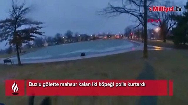 Buzlu gölette mahsur kalan iki köpeği polis kurtardı