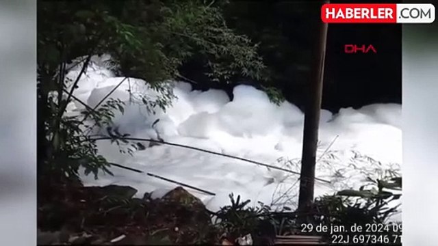 Brezilya'da Zehirli Kimyasal Madde Kazası: Dere Beyaz Köpükle Kaplandı