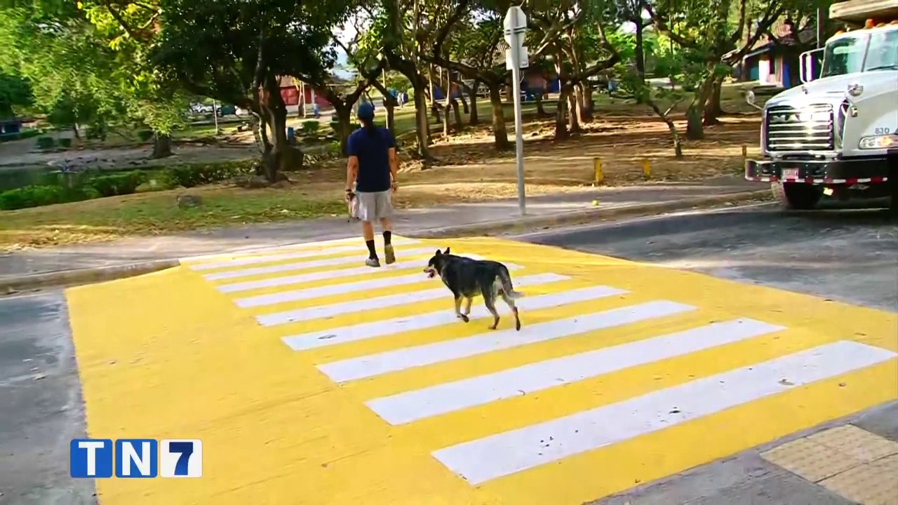 tn7-habilitan-pasos-peatonales-en-parque-de-la-paz-310124