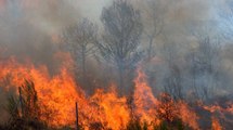 Alerta en Boyacá por incendio en el Parque Natural del Cocuy