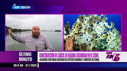 TN5 Matutino - 31 de Enero de 2024